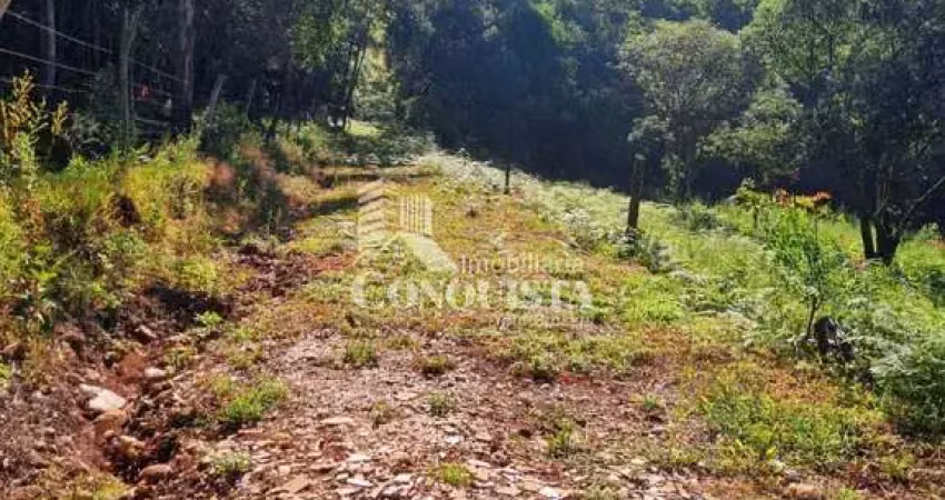 Chácara / sítio à venda na Travessa Santa Rita, 1, São Pedro da Terceira Légua, Caxias do Sul