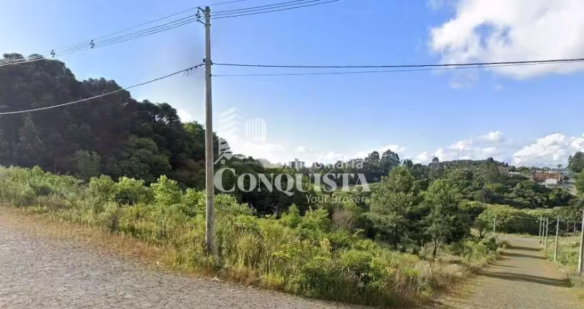 Terreno à venda na Victorio Paloscki Esquina Com Joao Viel, Desvio Rizzo, Caxias do Sul