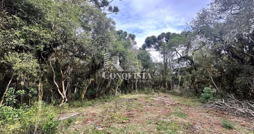 Chácara / sítio à venda na Fazenda dos Ilheus, 001, Vila Seca, Caxias do Sul