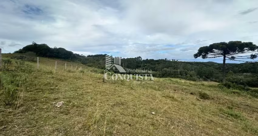Chácara / sítio à venda na Fazenda dos Ilheus, 1, Vila Seca, Caxias do Sul