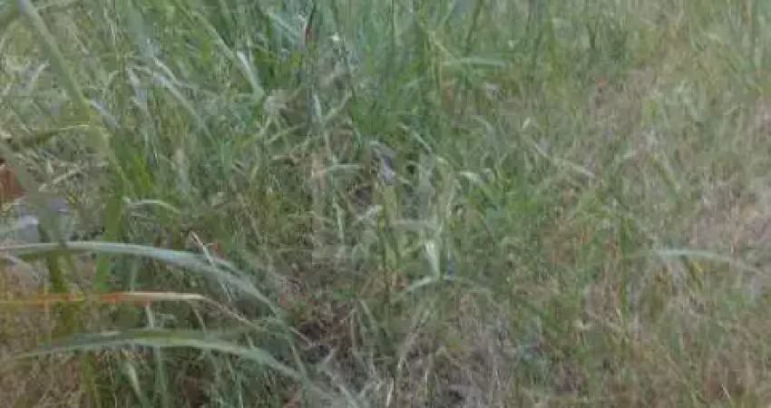 Lote - terreno à venda, santa rosa - belo horizonte/mg