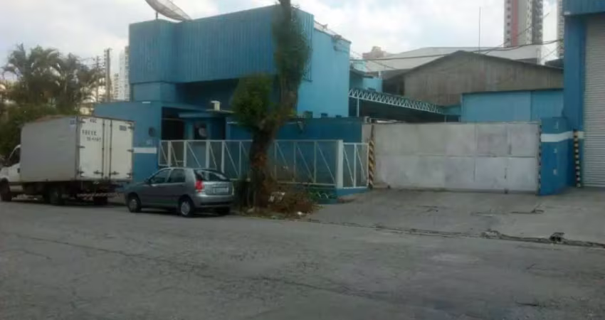 Salão Comercial em Campestre  -  Santo André