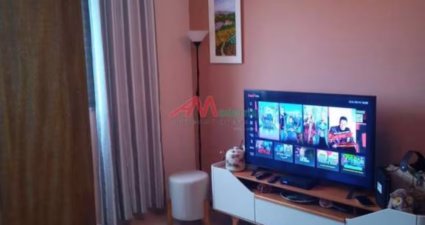 Venda e Locação: Apartamento 2 Dormitórios em Paulicéia