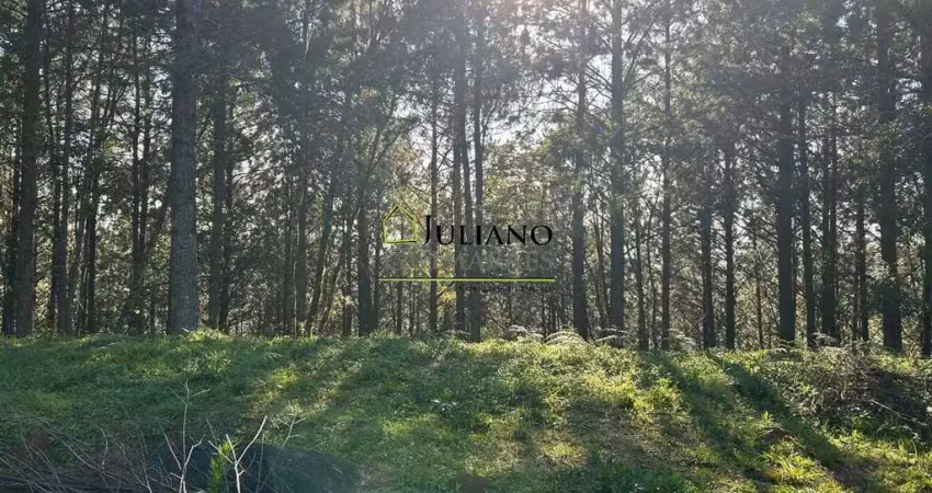 Terreno á venda em condomínio fechado village da montanha em rancho queimado - sc