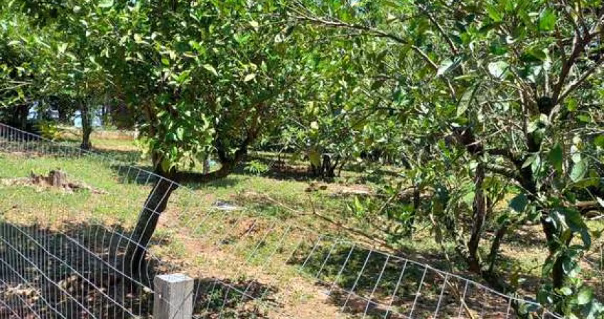 Fazenda à venda na José Antônio Daud, 60, Costa do Ipiranga, Gravataí