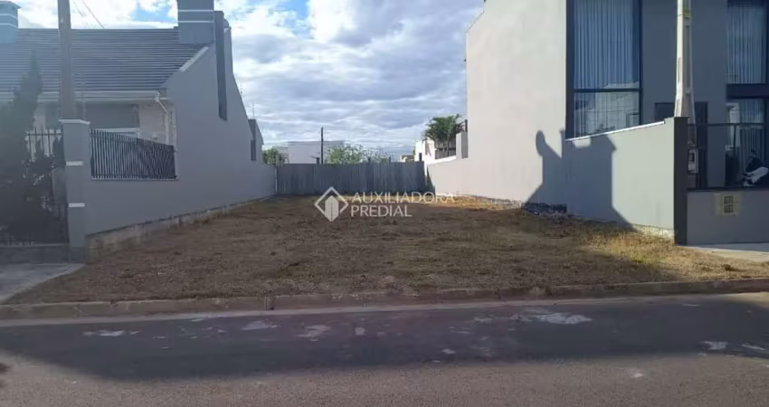 Terreno à venda na dos Lisiantos, 29, Parque da Matriz, Gravataí
