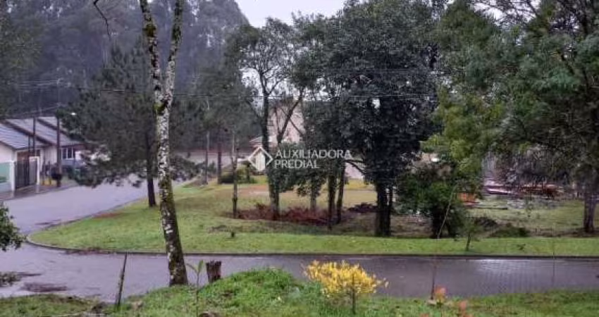 Terreno à venda na Palmeiras, 110, Centro, Gramado