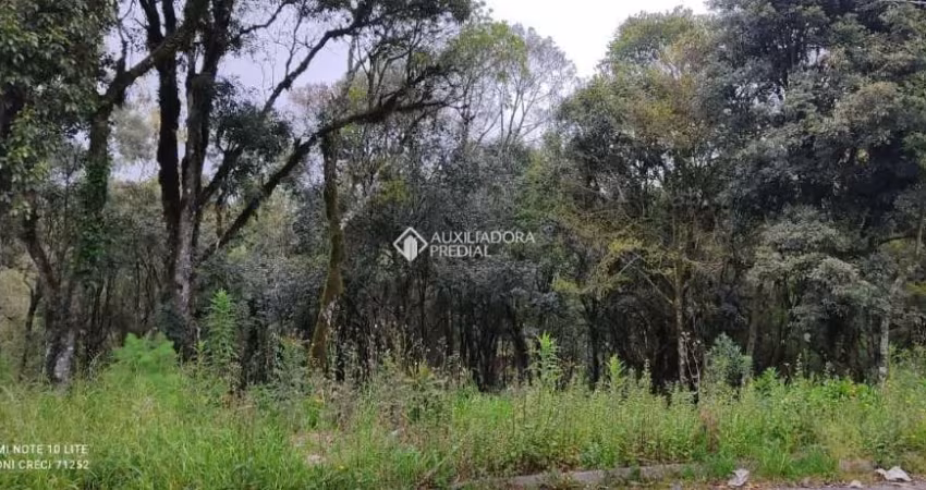 Terreno à venda na Vinicius De Moraes, 1, Vila do Cedro, Canela