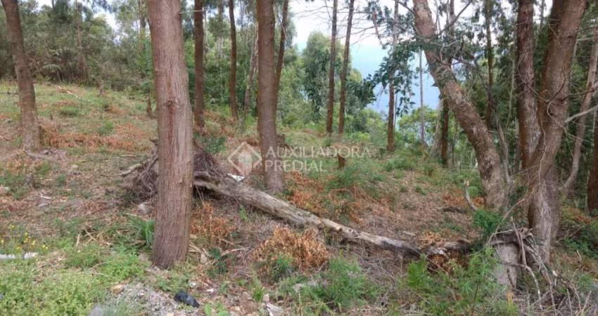 Terreno à venda na Belo Monte, 15, Centro, Canela
