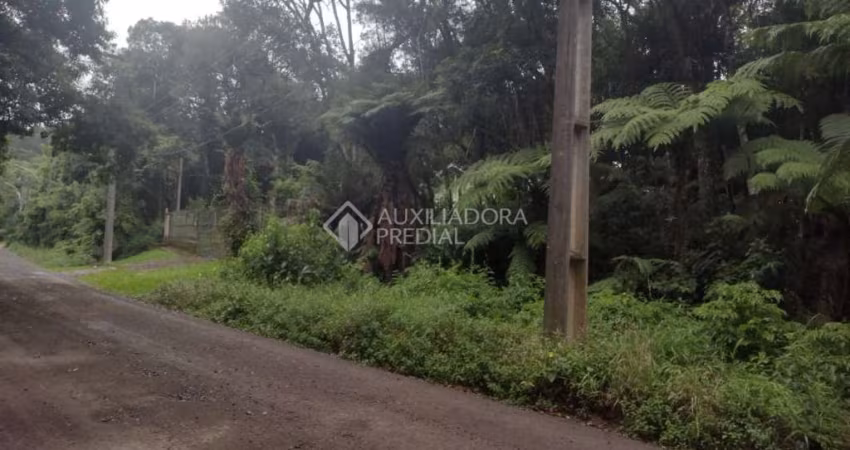 Terreno em condomínio fechado à venda na Ary Boeira Lucena, 6, Centro, Canela