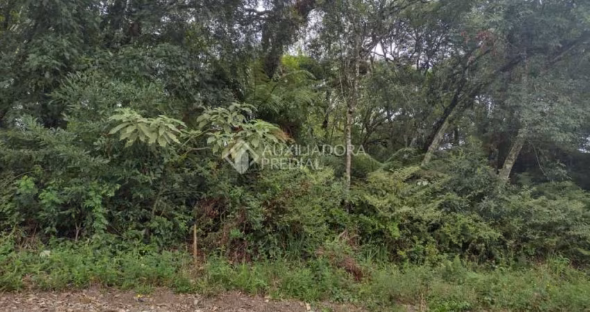 Terreno em condomínio fechado à venda na EDYE PAULO RAIMUNDO, 9, Alpes Verdes, Canela