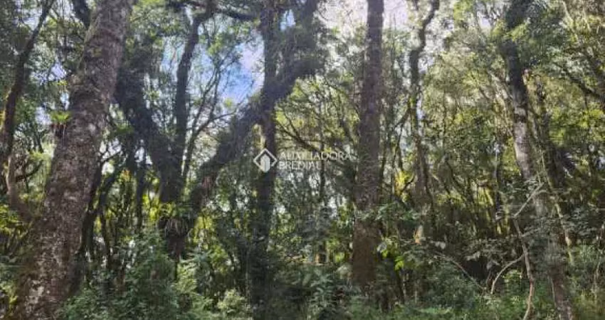 Terreno em condomínio fechado à venda na José Pedro Piva, 880, Bosque Sinoserra, Canela