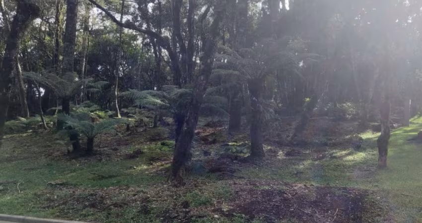 Terreno em condomínio fechado à venda na Rua Prefeito Waldemar Frederico Weber, 1815, Mato Queimado, Gramado