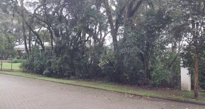 Terreno em condomínio fechado à venda na Das Caneleiras, 22, Reserva da Serra, Canela