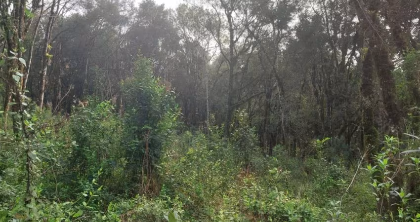 Terreno à venda na Estremosa, 4, Carniel, Gramado