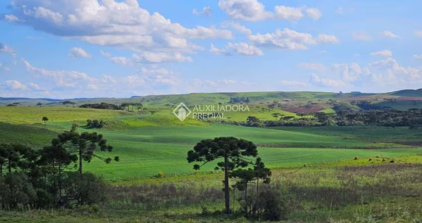 Fazenda à venda na tres irmãos, 1, Lajeado Grande, São Francisco de Paula