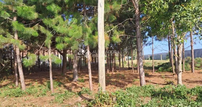 Terreno à venda na caiapos, 9, Arroio Teixeira, Capão da Canoa