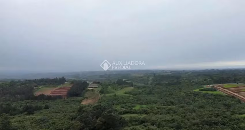 Terreno comercial à venda na Rodovia Assis Brasil, 1959, Cocão, Viamão
