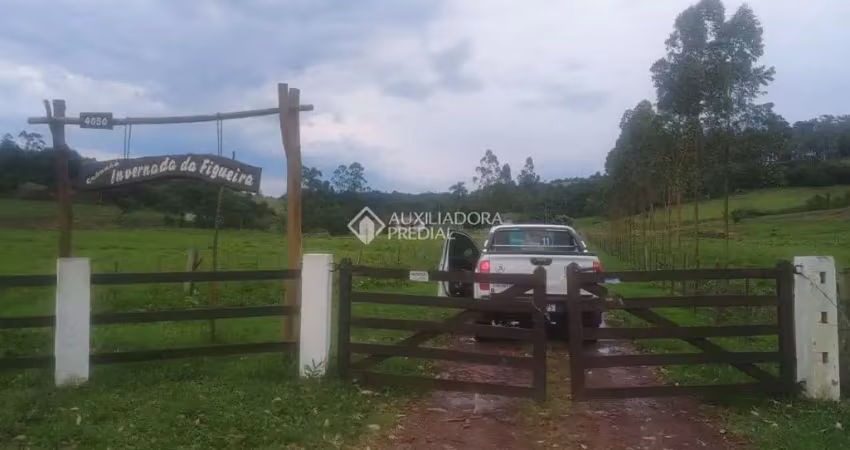 Fazenda à venda na Rosalina Assis De Oliveira, 4050, Monjolo, Santo Antônio da Patrulha