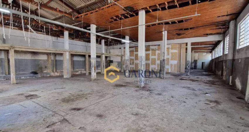 Galpão com 800 m² à venda/ São Paulo - SP