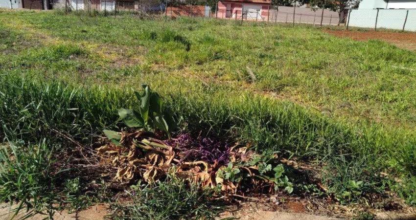Terreno à Venda no Centro de Quadra, SP – Localização Privilegiada