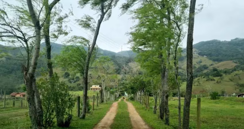 Chácara / sítio com 2 quartos à venda na Henrique Bernardo, 34, Morro do Freitas, Paulo Lopes