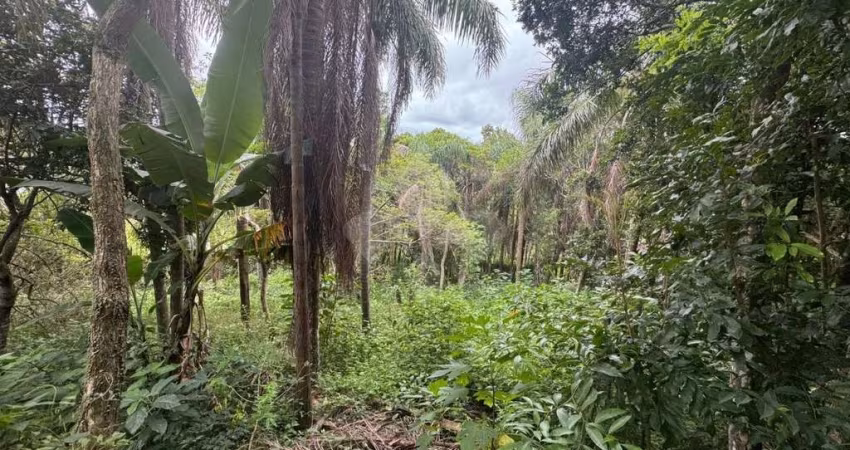 Terreno em condomínio fechado à venda na 41815, 1, Ibiraquera, Imbituba