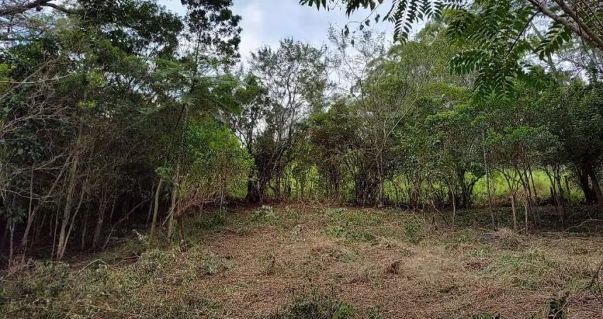 Terreno em condomínio fechado à venda na Pmg 250, Encantada, Garopaba