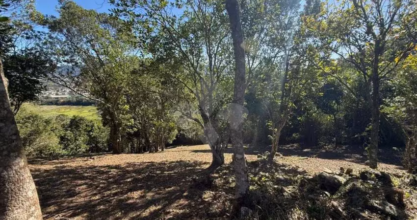 Terreno em condomínio fechado à venda na Caminho do Rei, 2000, Praia da Silveira, Garopaba