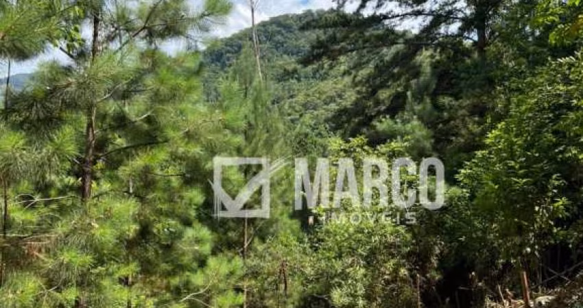Terreno à venda no Ribeirão Souto, Pomerode 