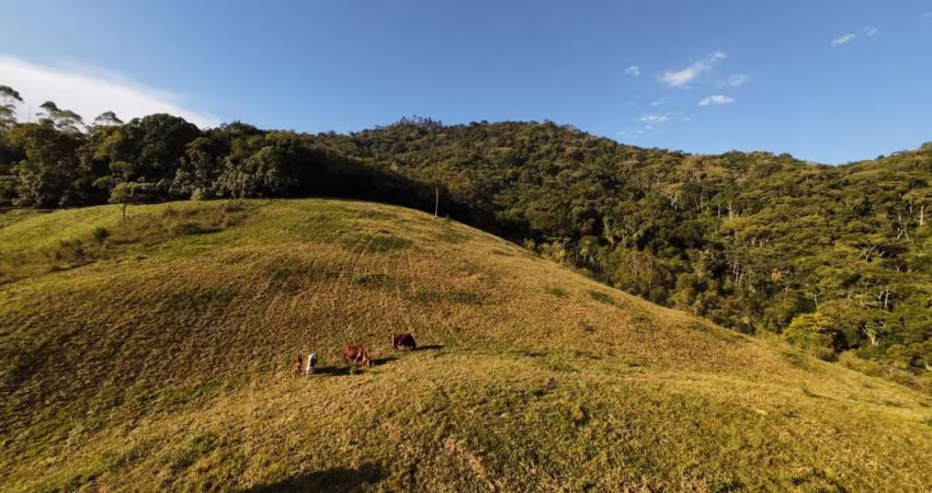 Terreno à venda no Vale do Selke Grande, Pomerode 