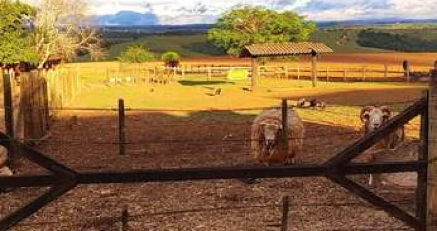 Fazenda com 2 salas à venda na Rua Monsenhor Soares, 1501, Área Rural de Itapetininga, Itapetininga
