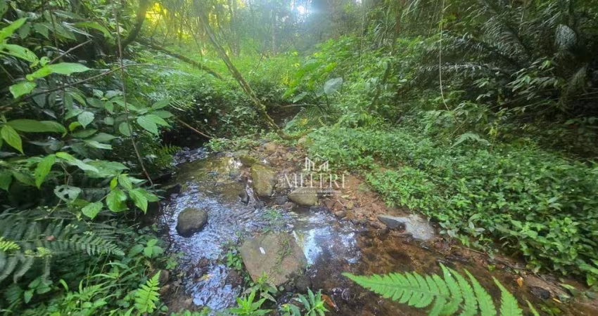 Terreno à venda, 29946 m² por R$ 1.750.000,00 - Tanguá - Almirante Tamandaré/PR