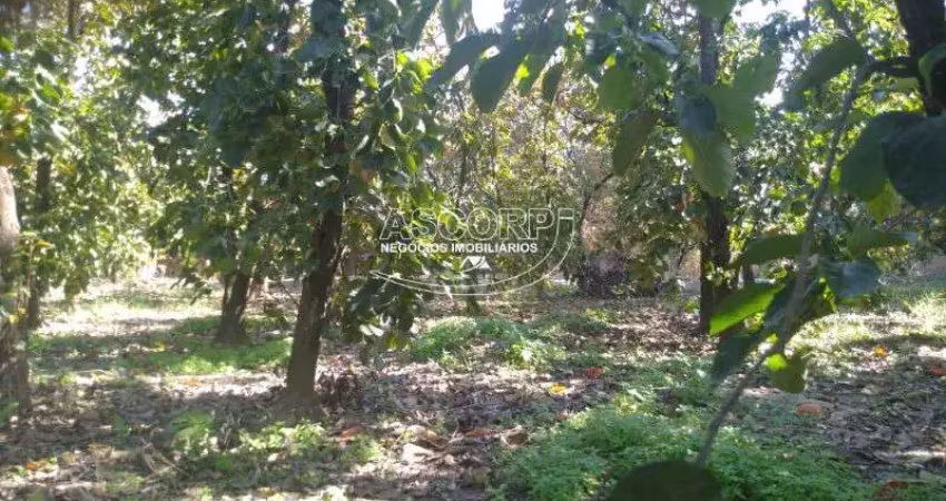 Terreno à venda no Jardim Elite, Piracicaba 