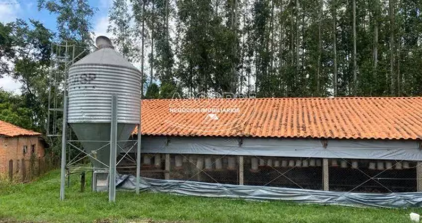 Chácara / sítio com 4 quartos à venda na Sitio Gonsales, *, Anhumas, Piracicaba