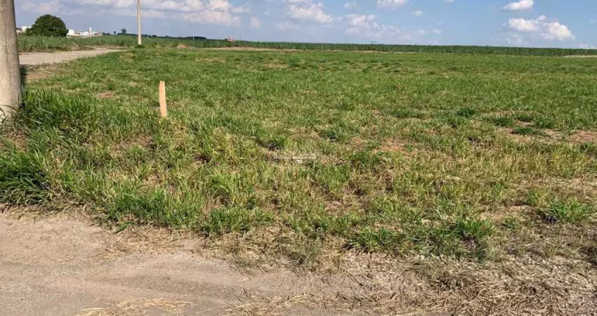 Terreno à venda, mato alto / sitio palmeiras, saltinho - (código te00826)
