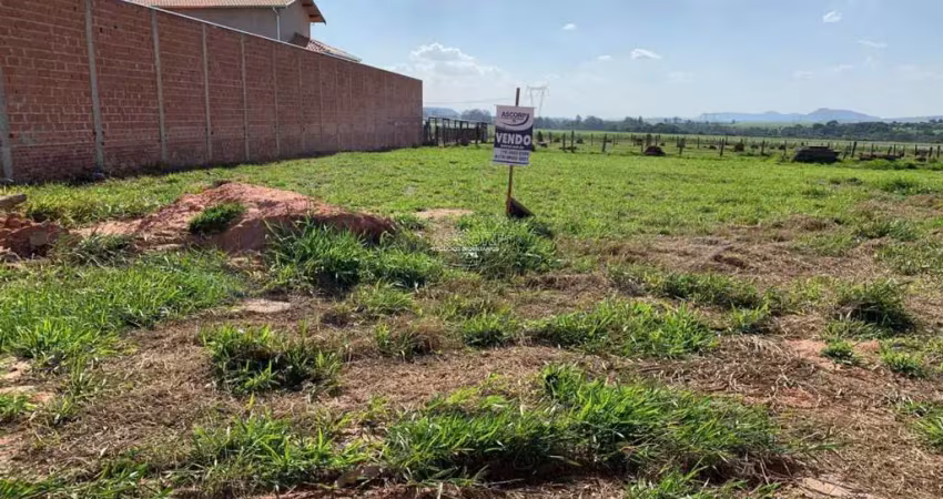 Terreno à venda, mato alto, saltinho - (código te00823)