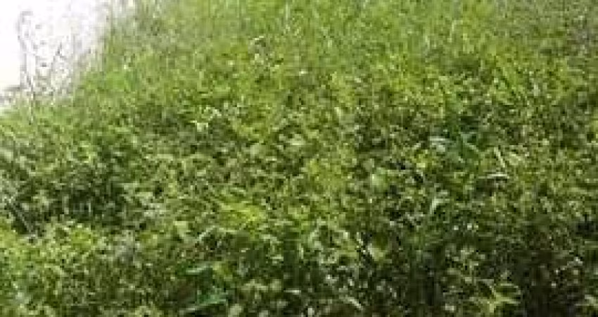 Terreno à venda no bairro Jardim Hípica Pinheiro - Taubaté/SP