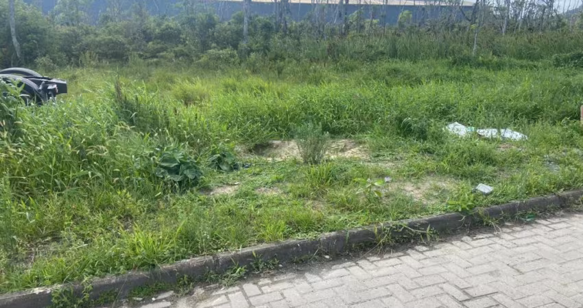 TERRENO A VENDA NO BAIRRO SÃO DOMINGOS - NAVEGANTES SC.