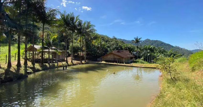 Chácara / sítio com 5 quartos à venda no Rio da Luz, Jaraguá do Sul 