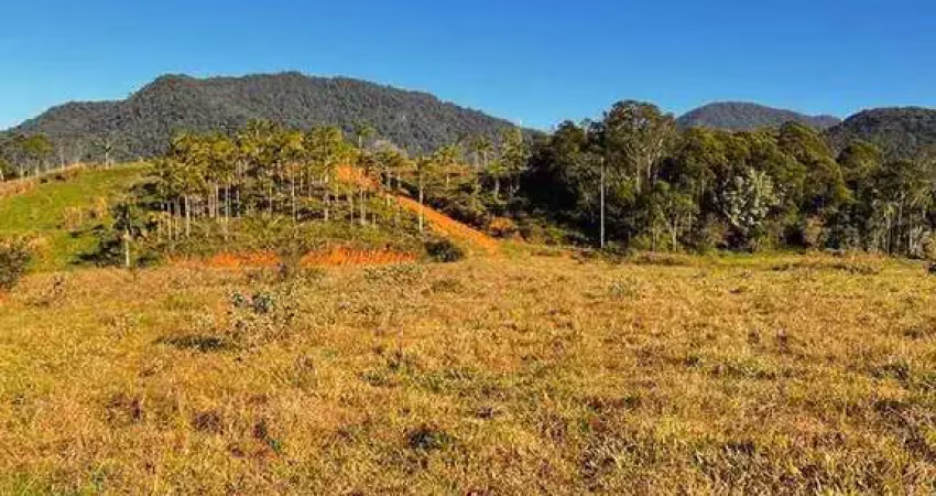 Terreno à venda no Centro, Guaramirim 