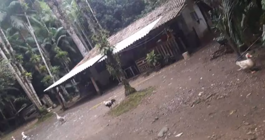 Chácara com 47.696 m² de área total, amizade - guaramirim