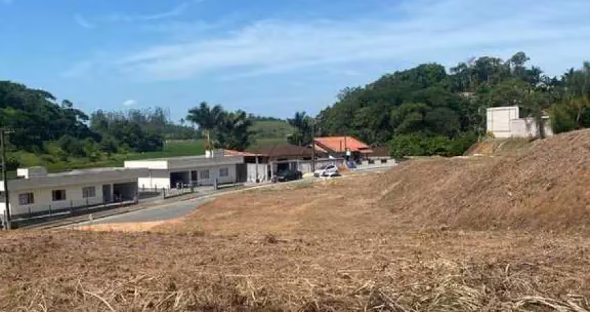 Terreno com 1.046,74 m² de área total, massaranduba