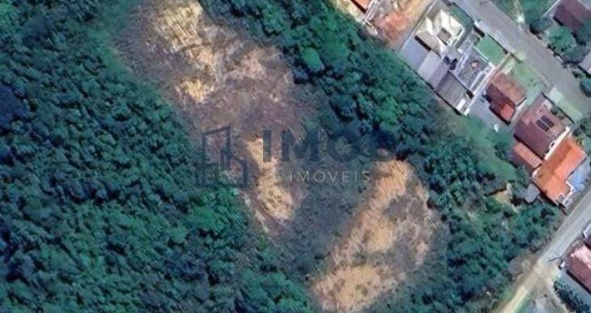 Terreno com 10.600 m² de área total, Guarani Mirim