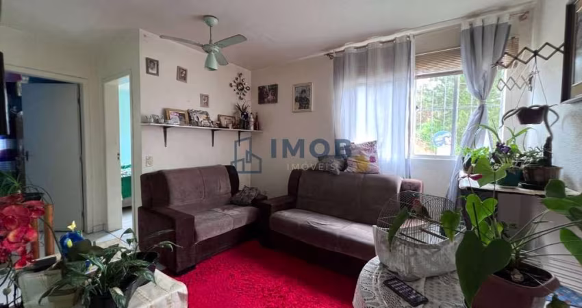 Apartamento com 2 Quartos, Bairro Ribeirão Cavalo