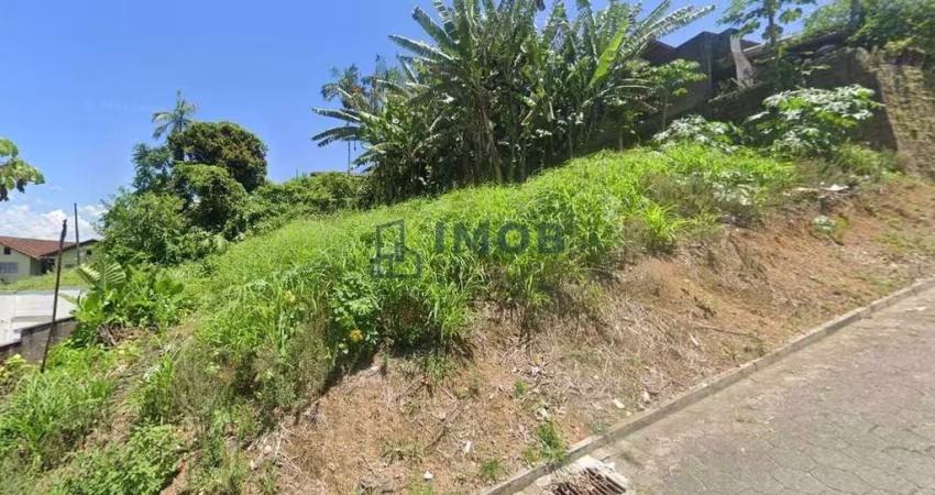 Lote/Terreno, Vila Lalau - Jaraguá do Sul
