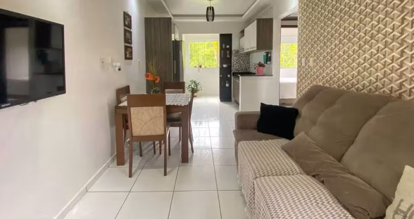 Apartamento com 2 dormitórios, ilha da figueira - guaramirim