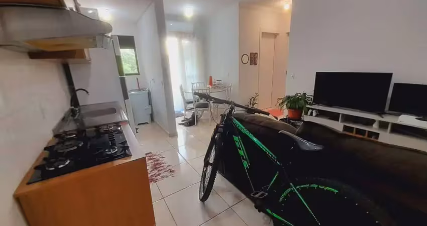 Apartamento com 2 dormitórios, ilha da figueira - jaraguá do sul