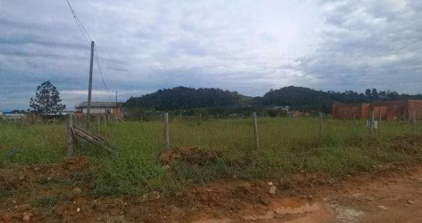 Terreno à venda, 325 m² por R$ 259.000,00 - Itajuba - Barra Velha/SC