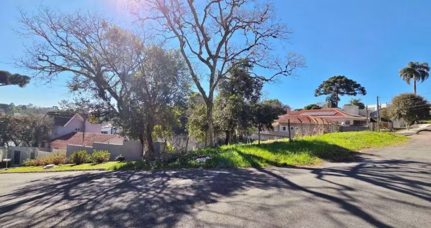 Terreno à venda, 499 m² por r$ 875.000 - vista alegre - curitiba/pr